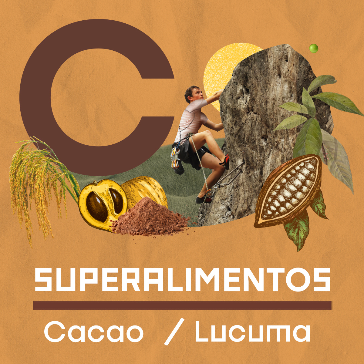 Pack 2 V-PRO 650 g Cacao Fuel