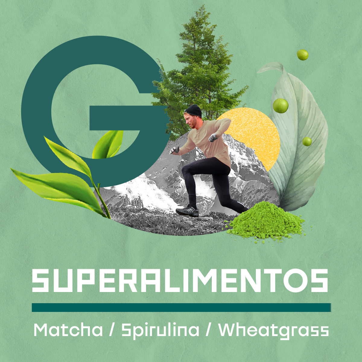 Pack 2 V-PRO 650 g Green Energy