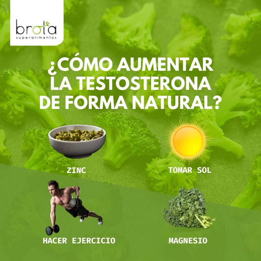 Descubre cómo subir naturalmente tus niveles de testosterona - Brota Vida