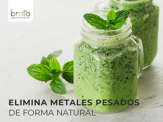¡La mejor alternativa para eliminar metales pesados este verano! - Brota Vida