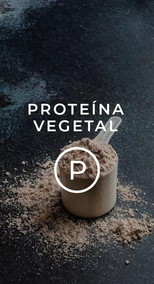 Proteína vegetal