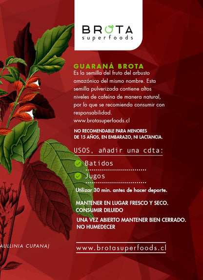 Guaraná en Polvo Energy 100 g