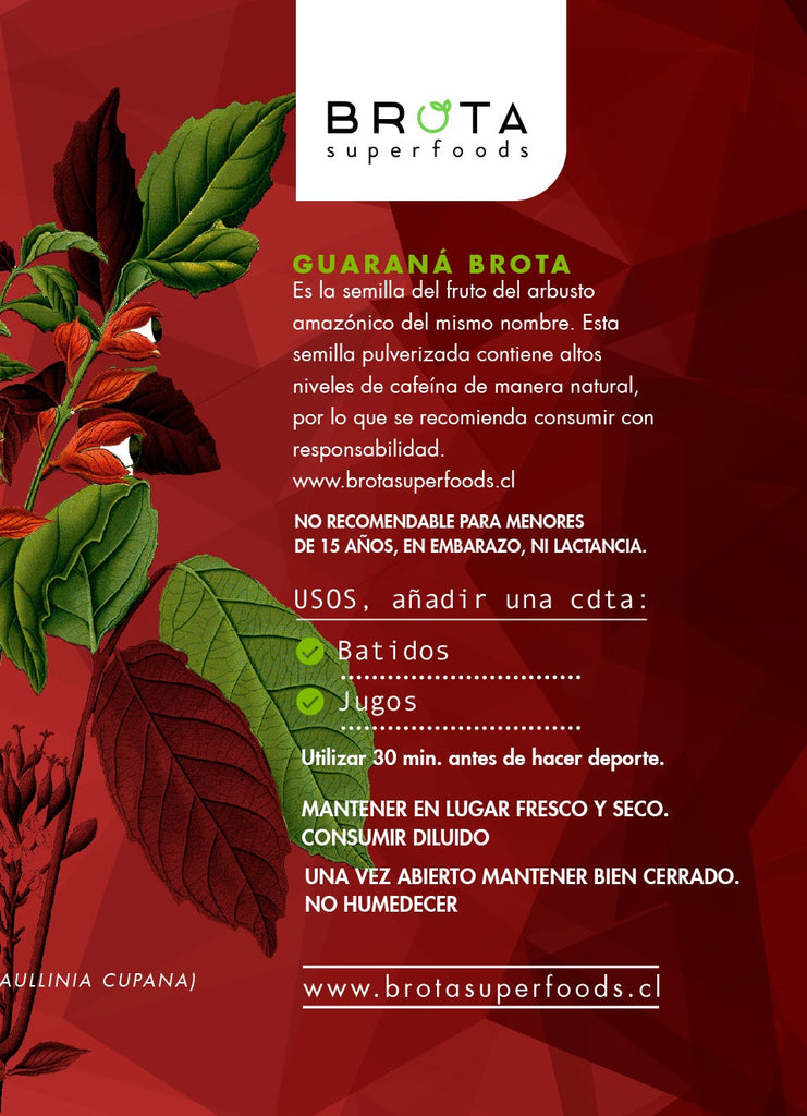 Guaraná en Polvo Energy 100 g