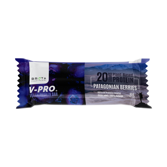 Patagonian Berries vegan protein bar 65 g Brota